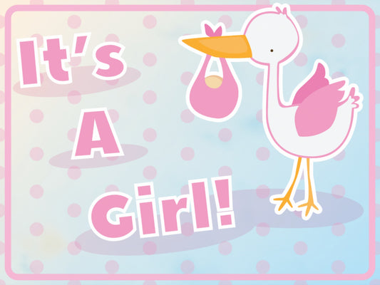 The Stork Brought a Girl