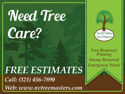 Need Tree Care?