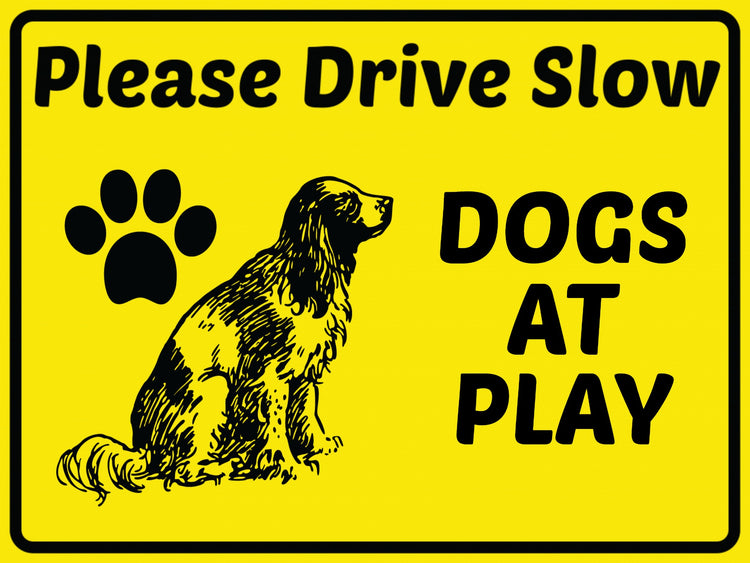 Please Drive Slow