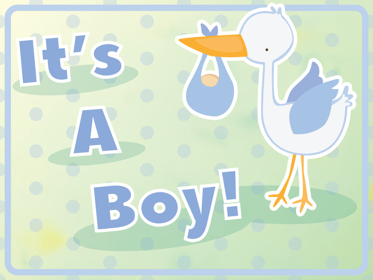 The Stork Brought a Boy